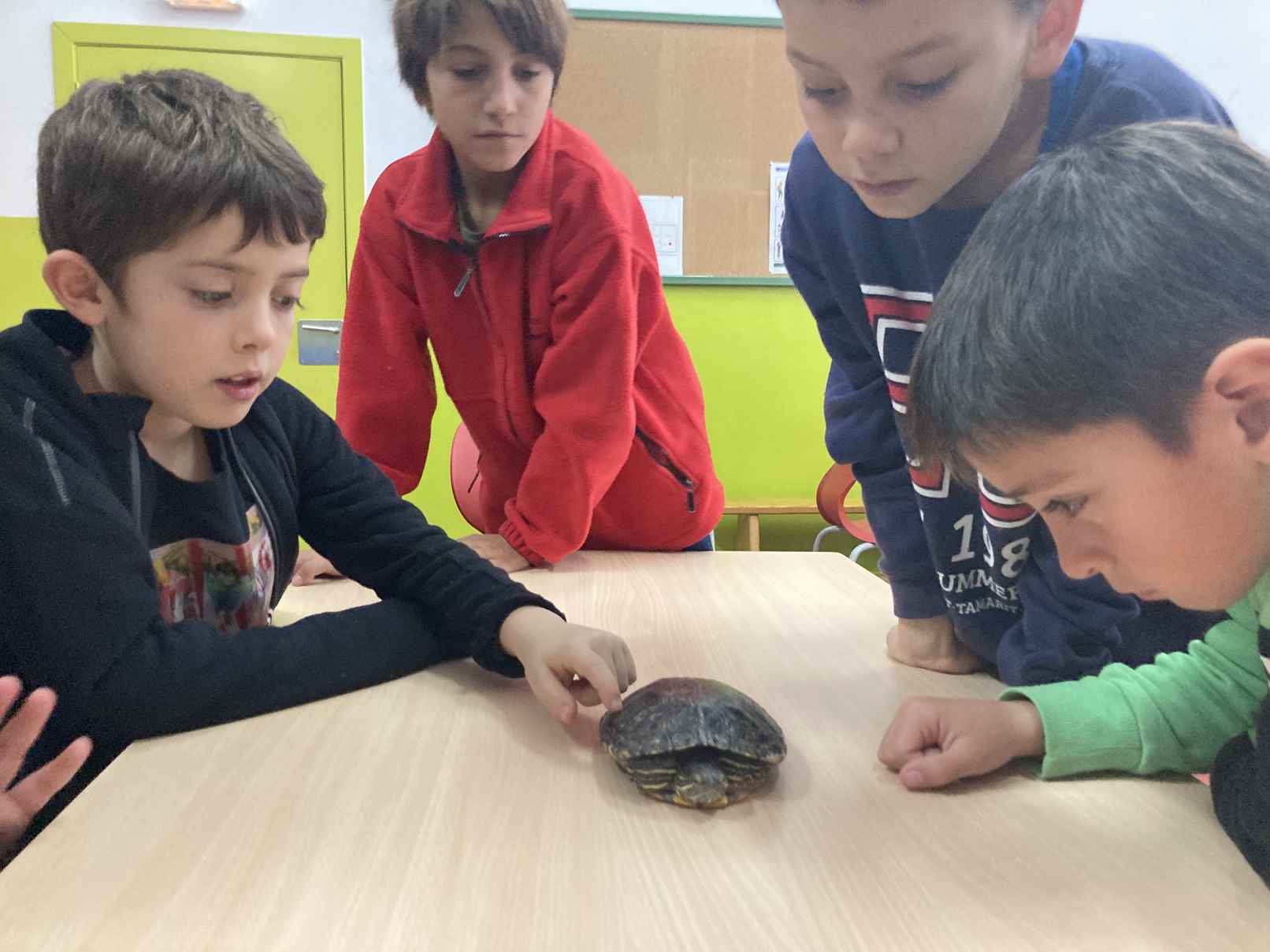 taller toca toca (1)