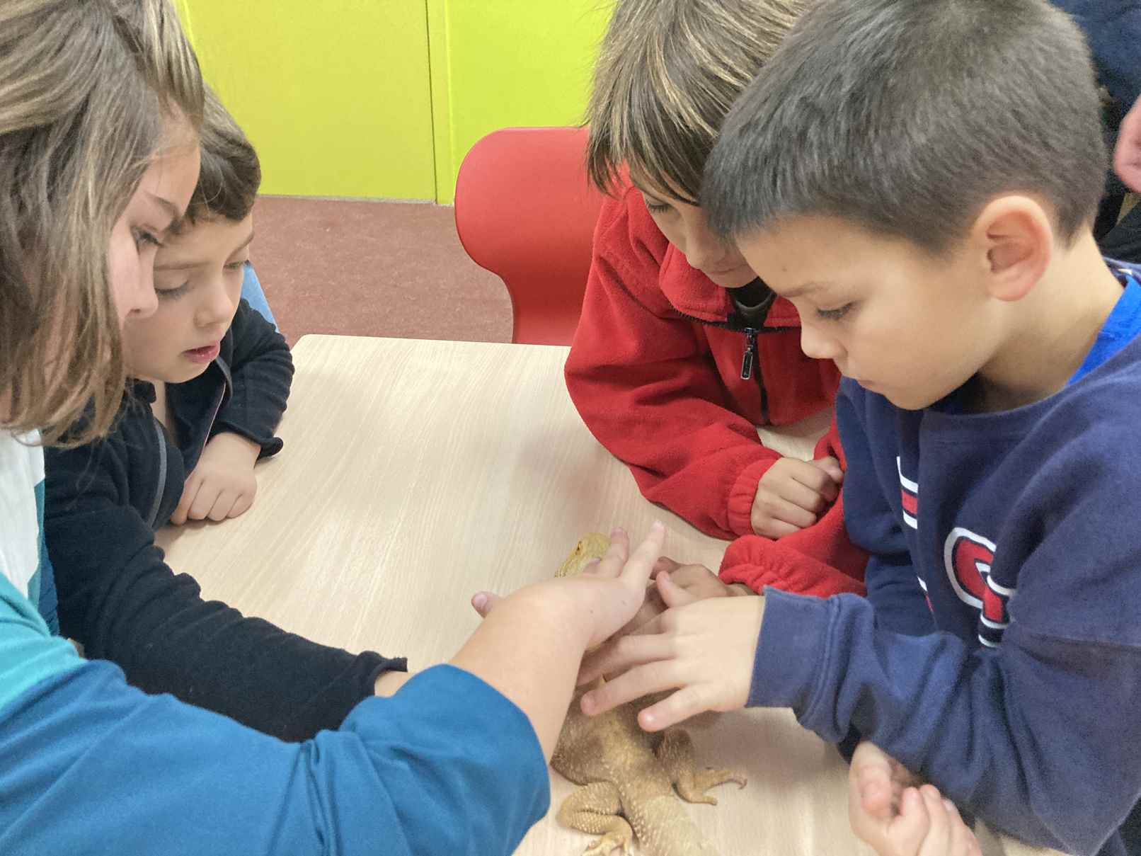 taller toca toca (10)