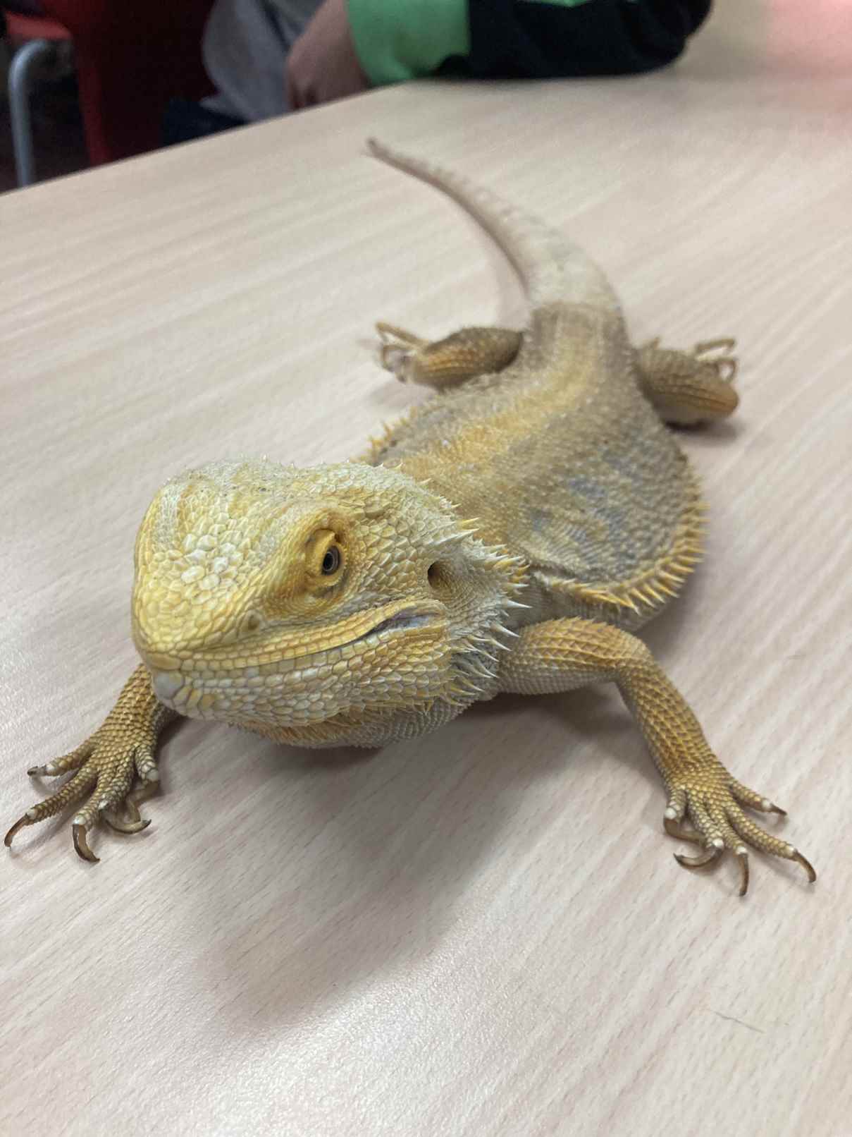 taller toca toca (11)