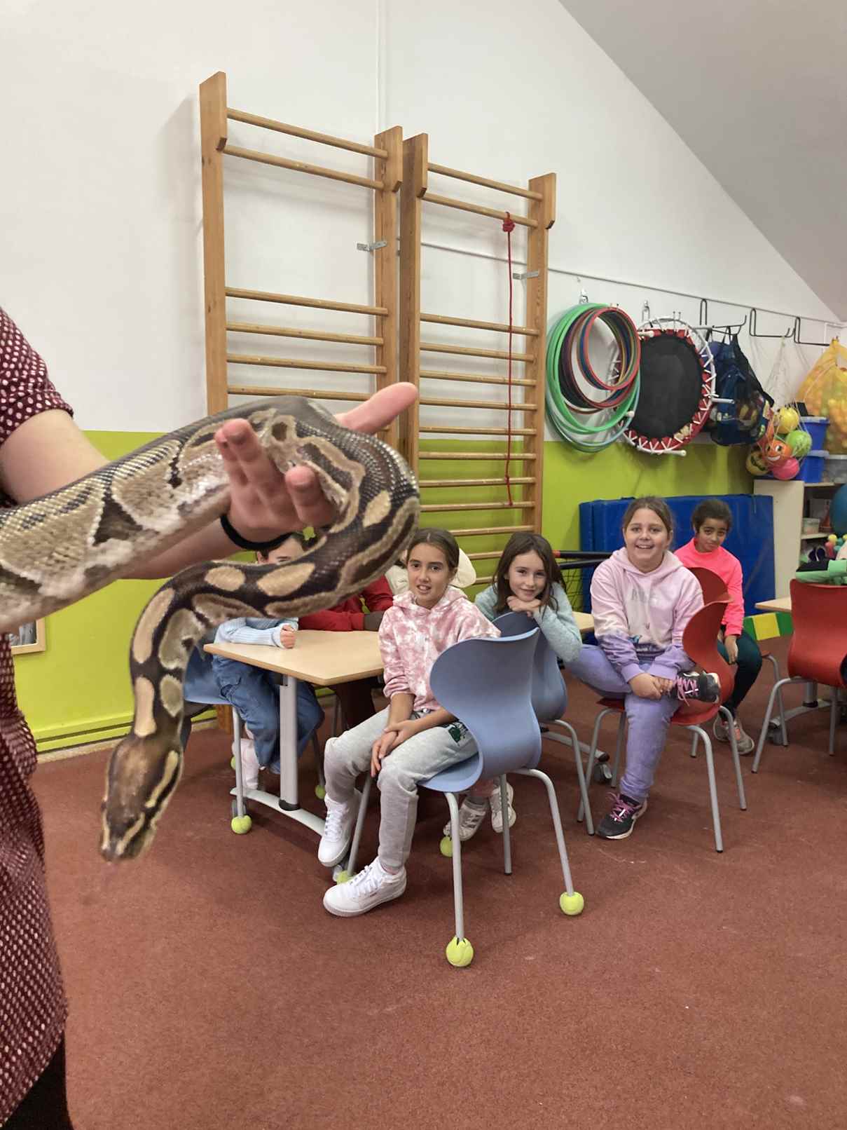 taller toca toca (15)