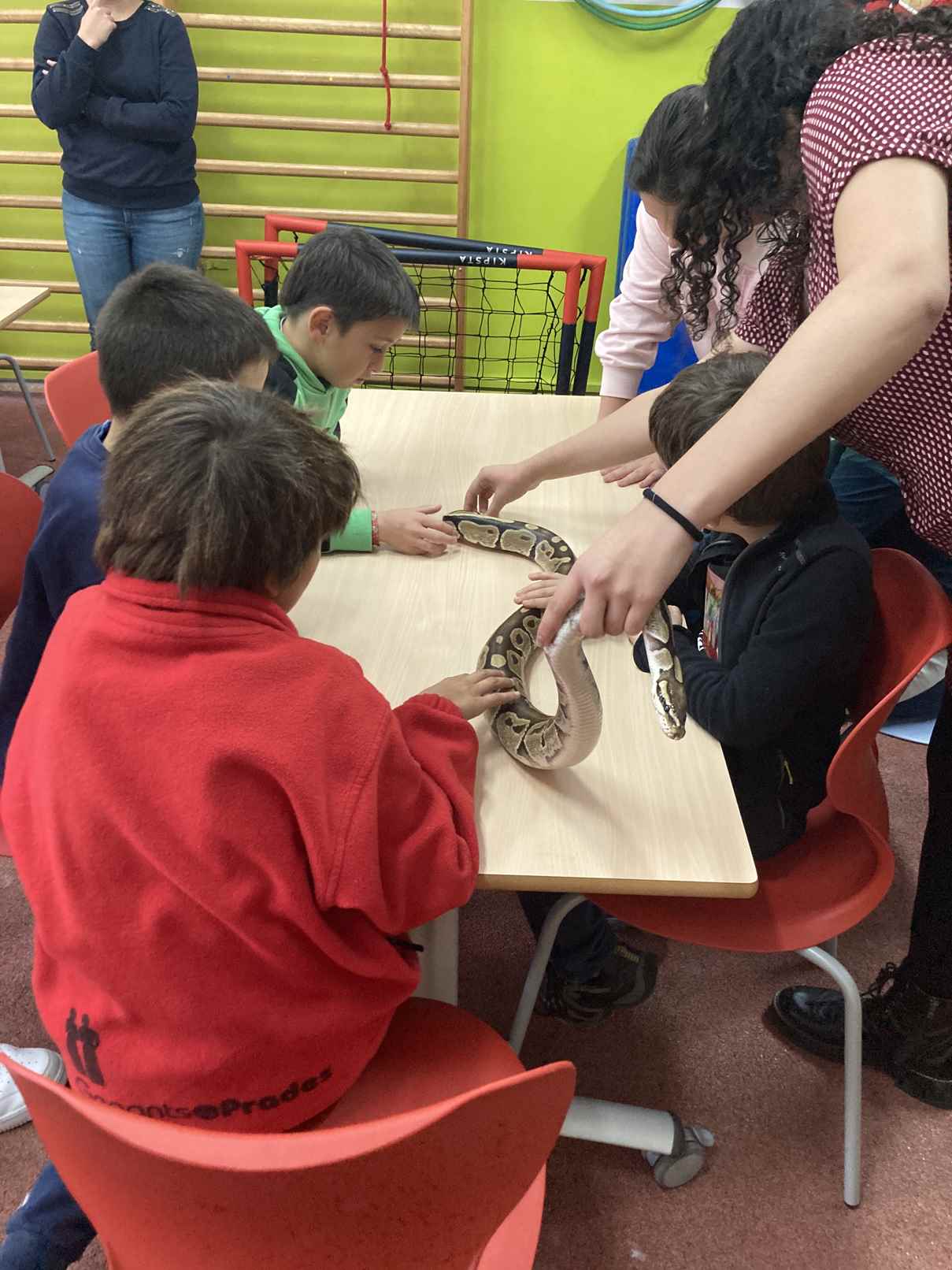 taller toca toca (19)