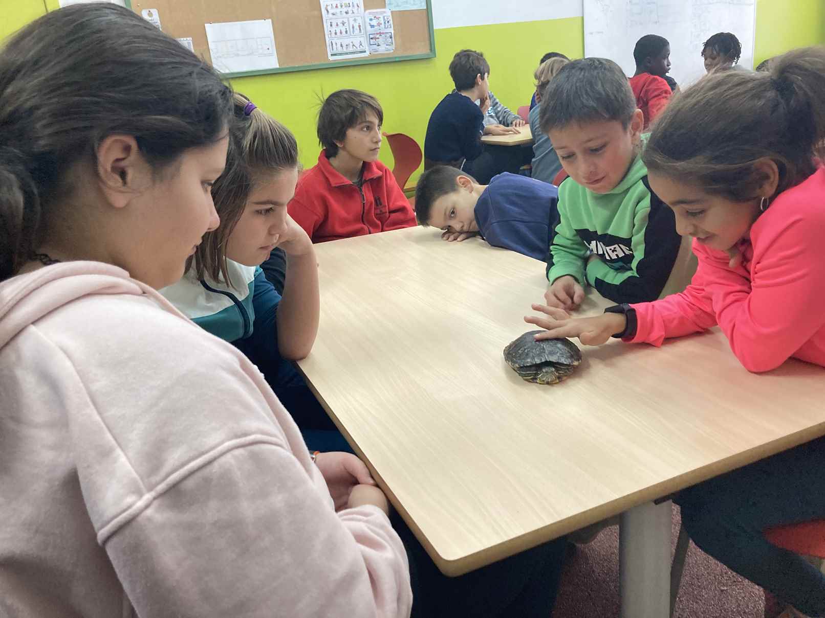 taller toca toca (2)