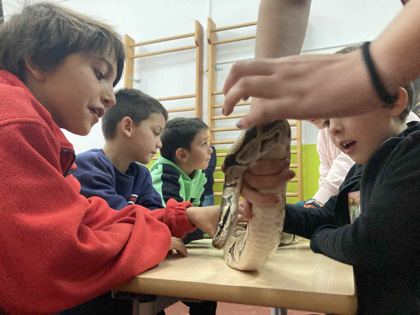 taller toca toca (20)