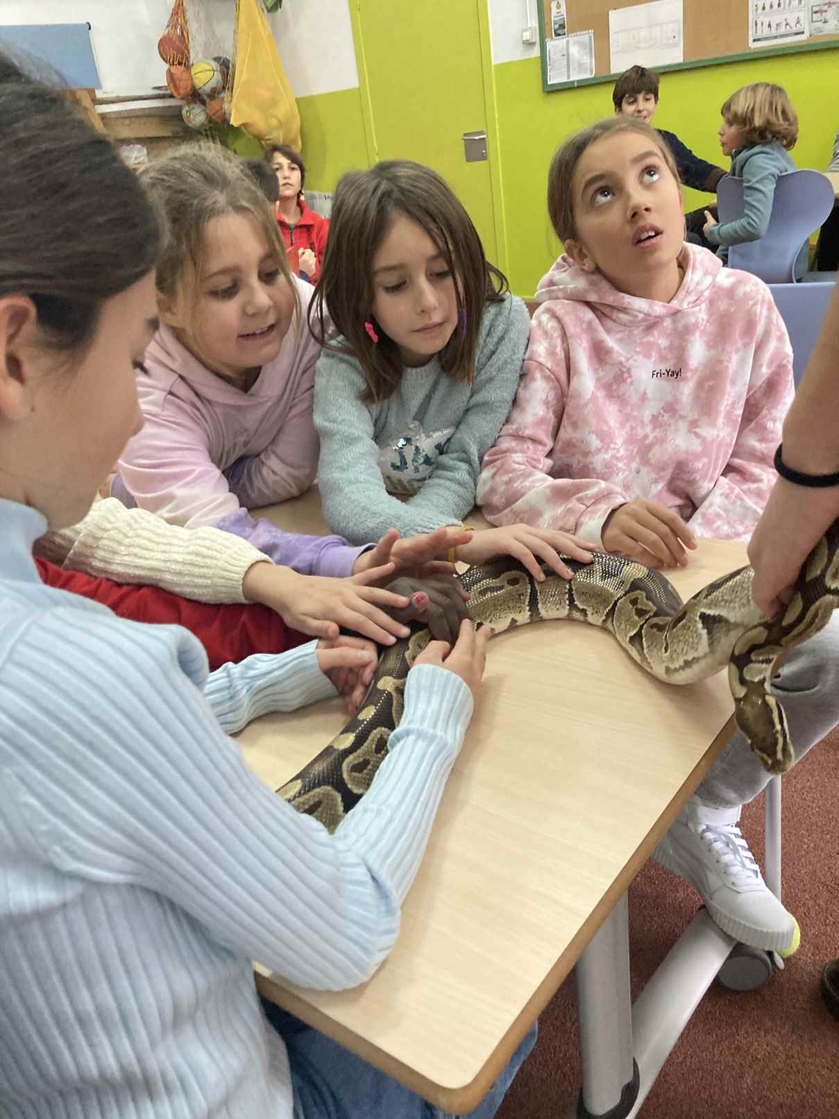 taller toca toca (23)