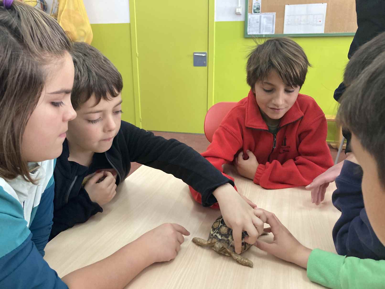 taller toca toca (27)