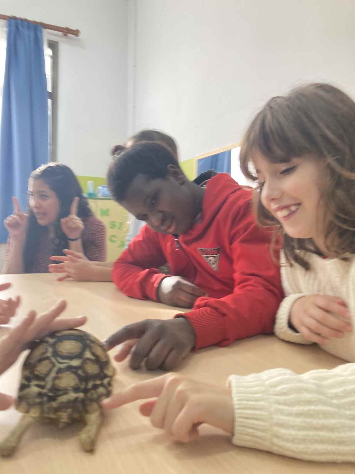 taller toca toca (28)