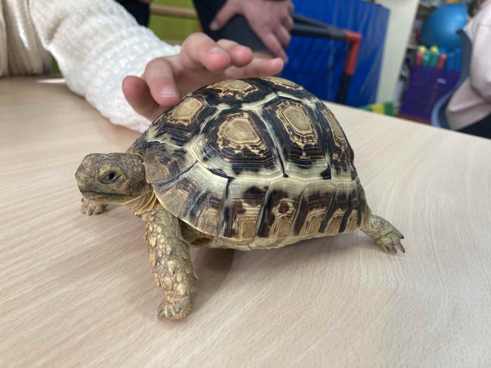 taller toca toca (29)