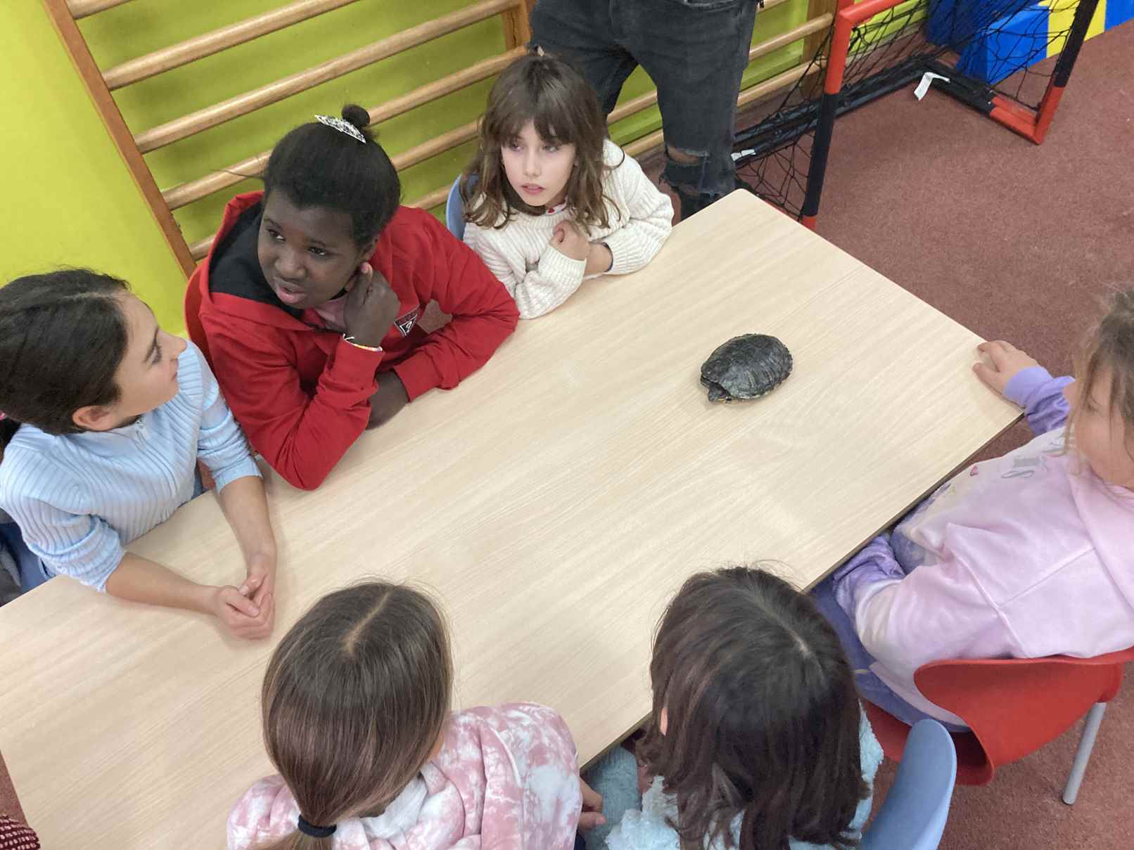 taller toca toca (3)