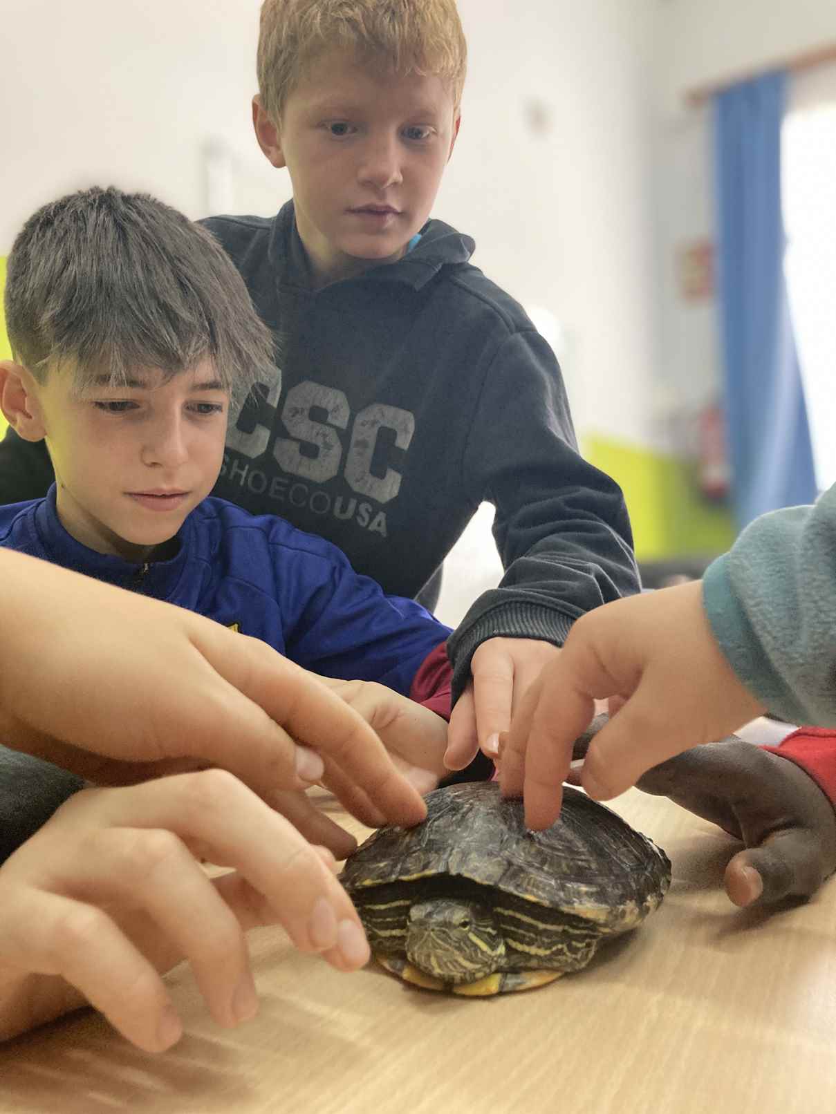 taller toca toca (32)