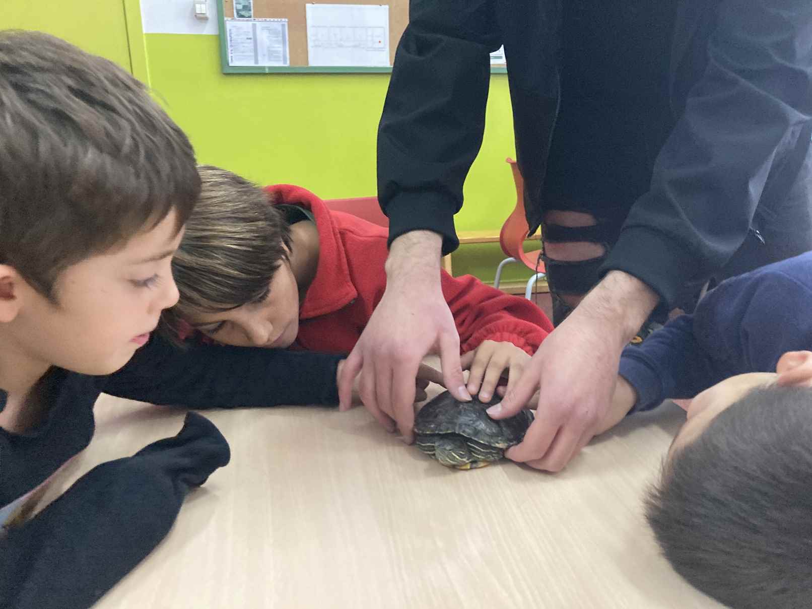 taller toca toca (34)