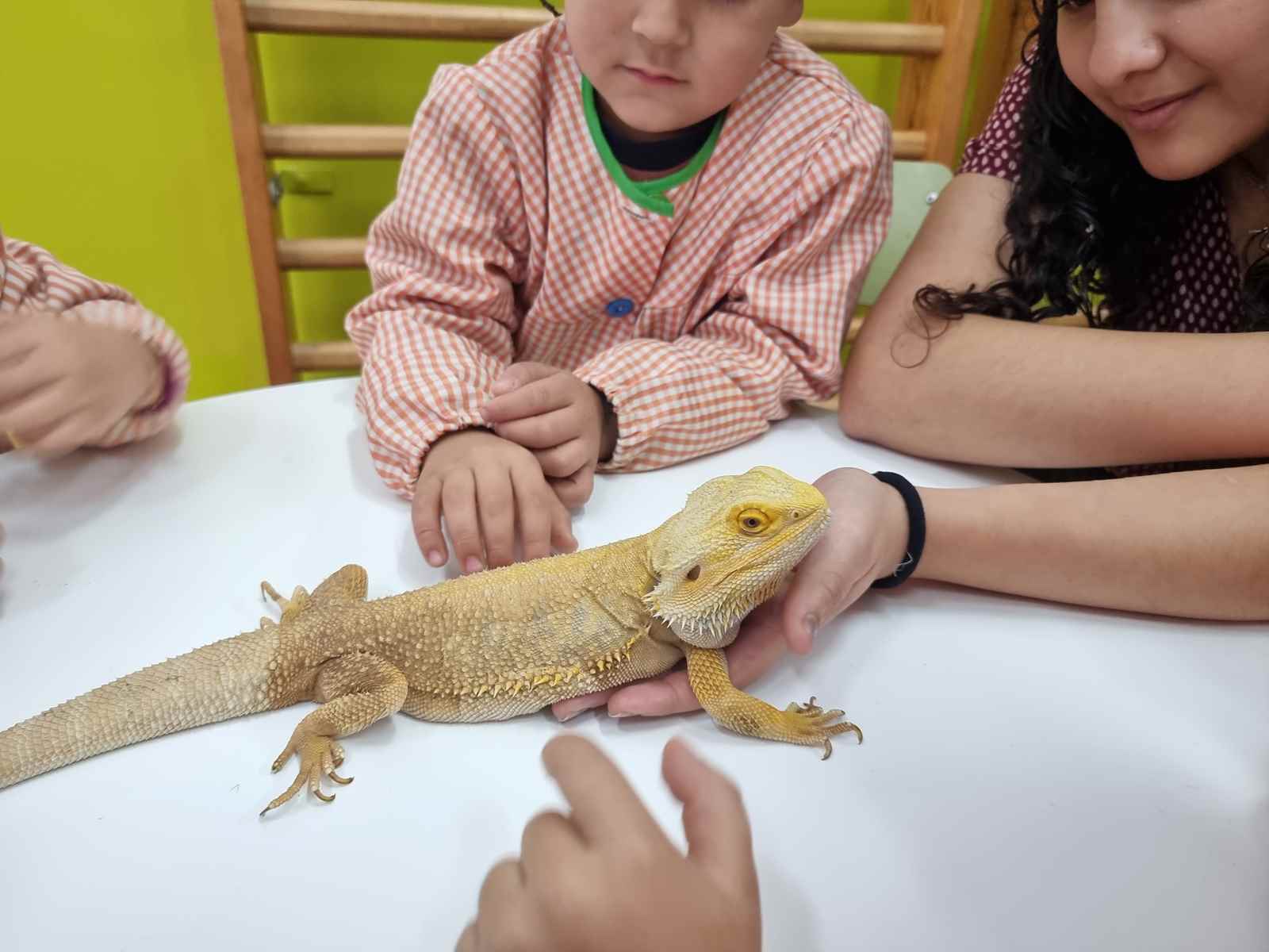 taller toca toca (35)