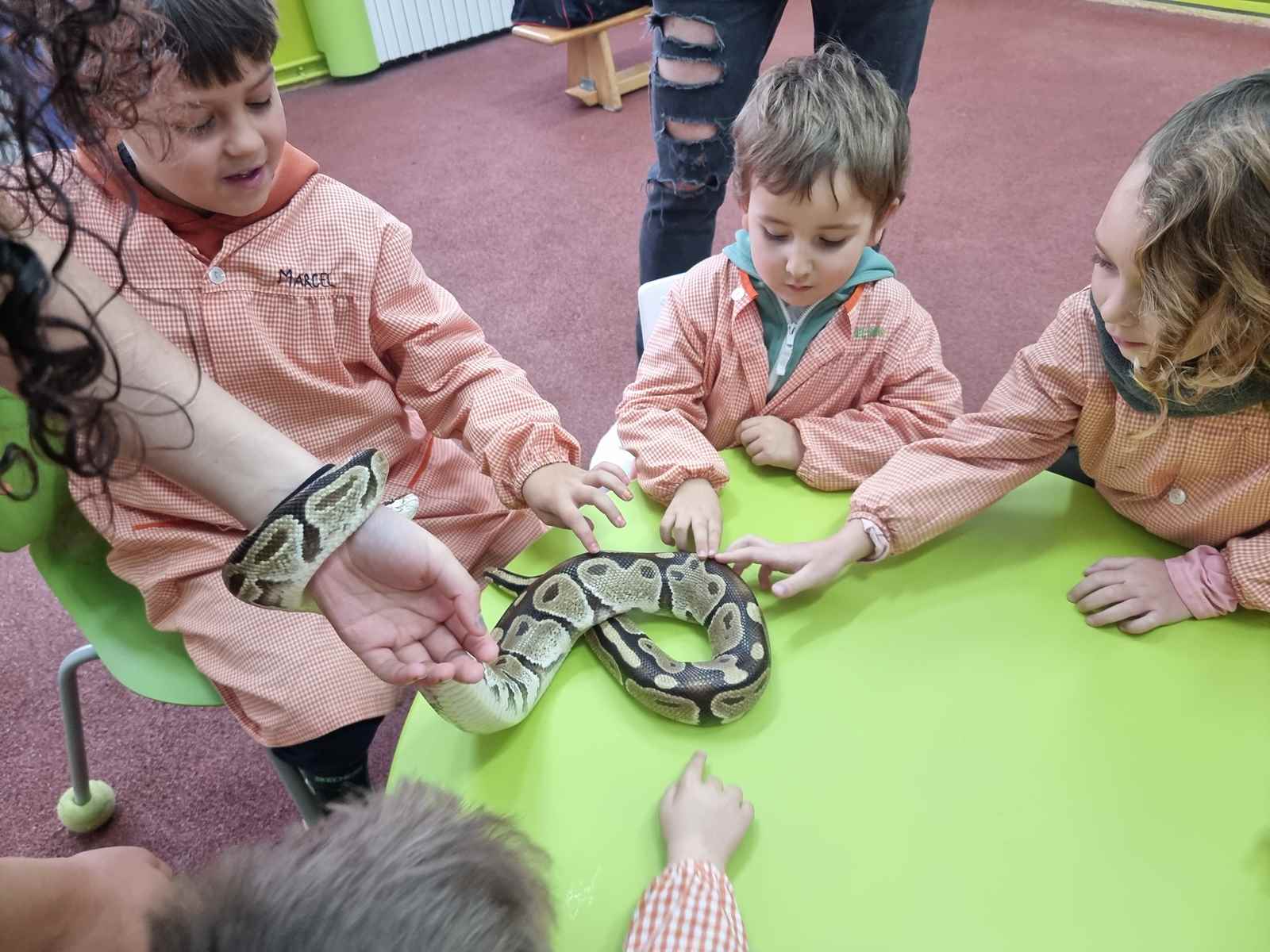 taller toca toca (36)