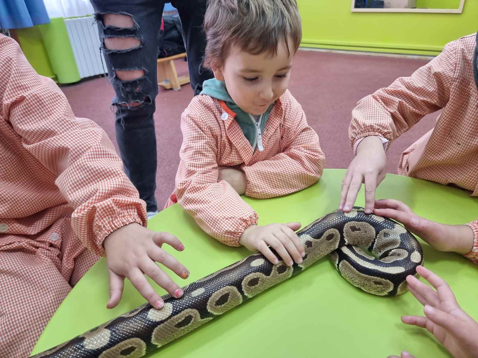 taller toca toca (38)