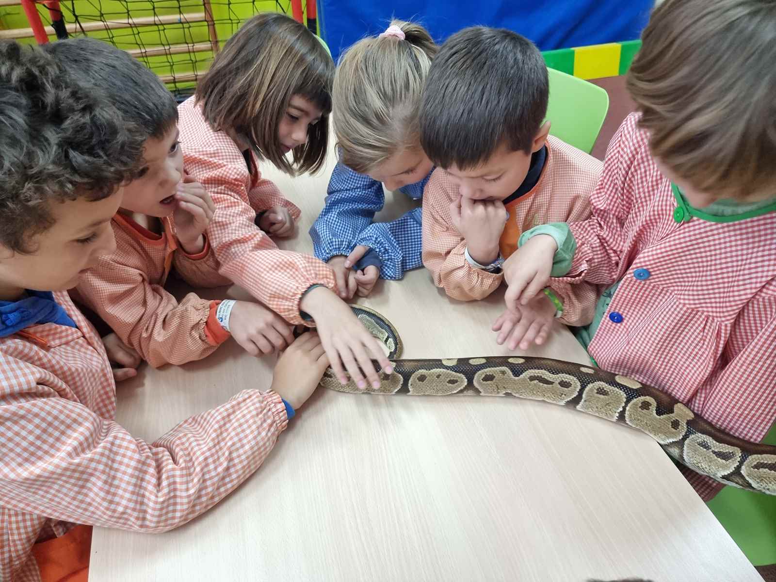 taller toca toca (39)