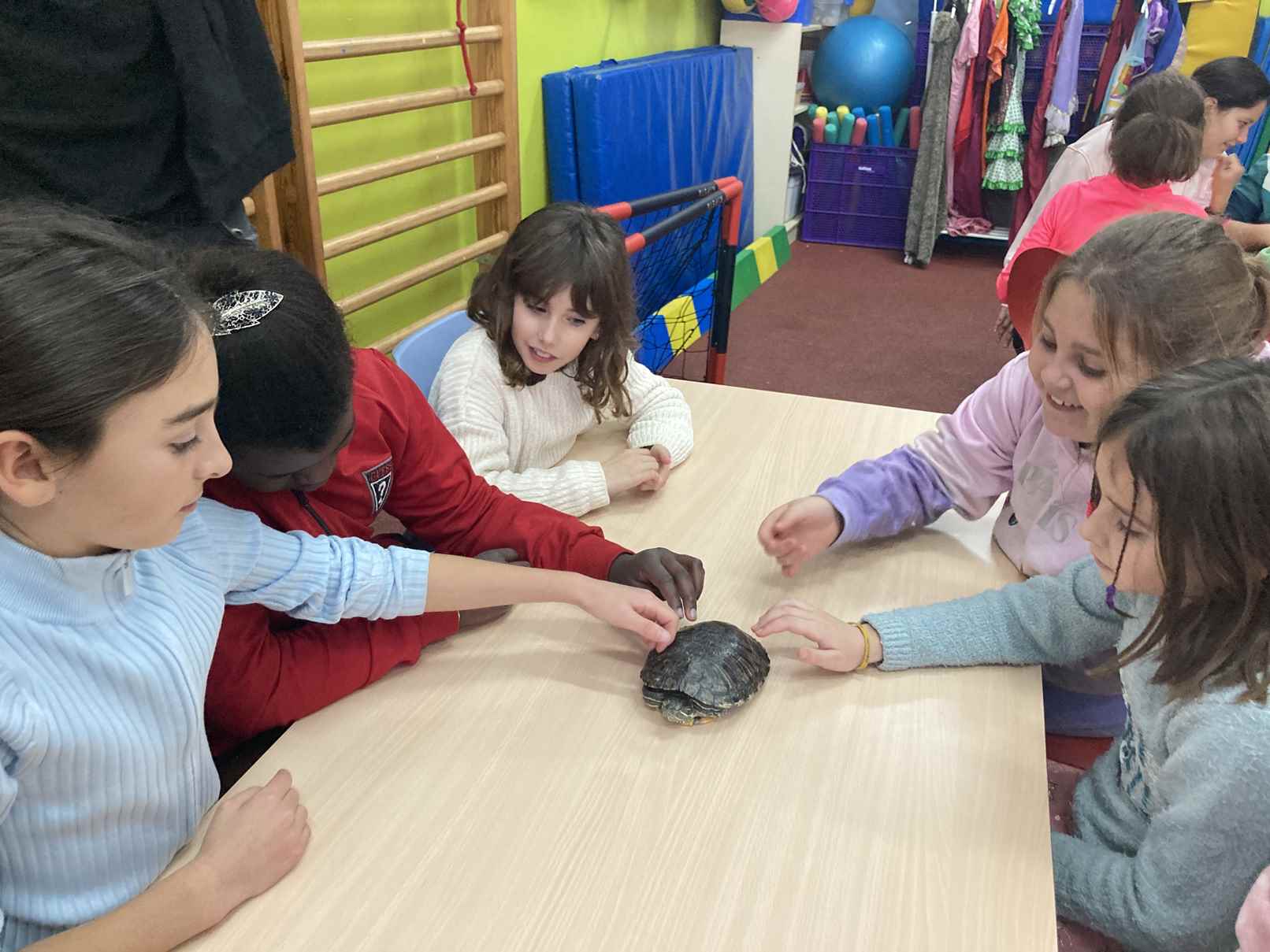 taller toca toca (4)