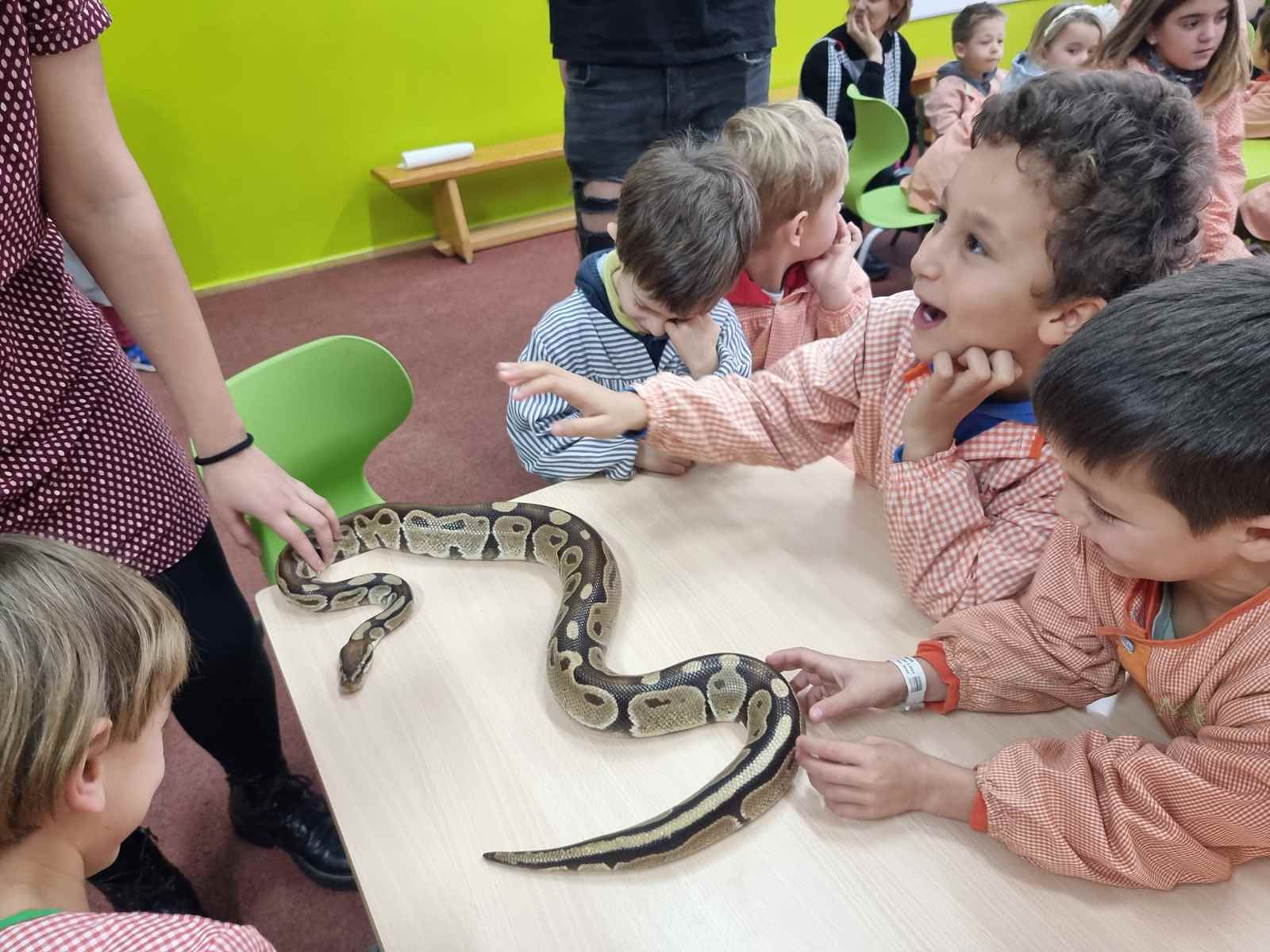 taller toca toca (40)