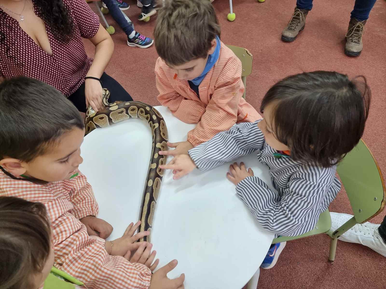 taller toca toca (41)