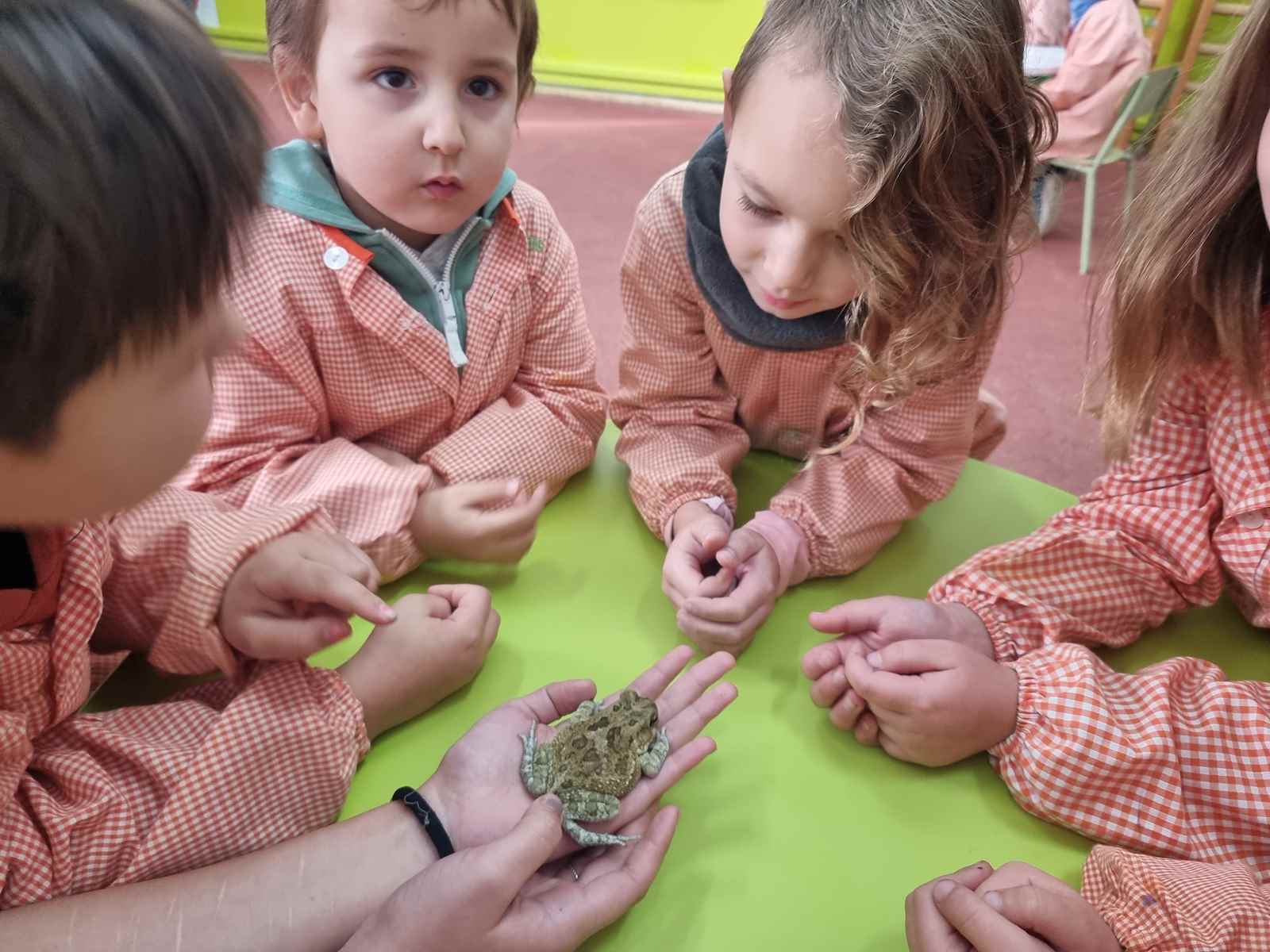 taller toca toca (44)