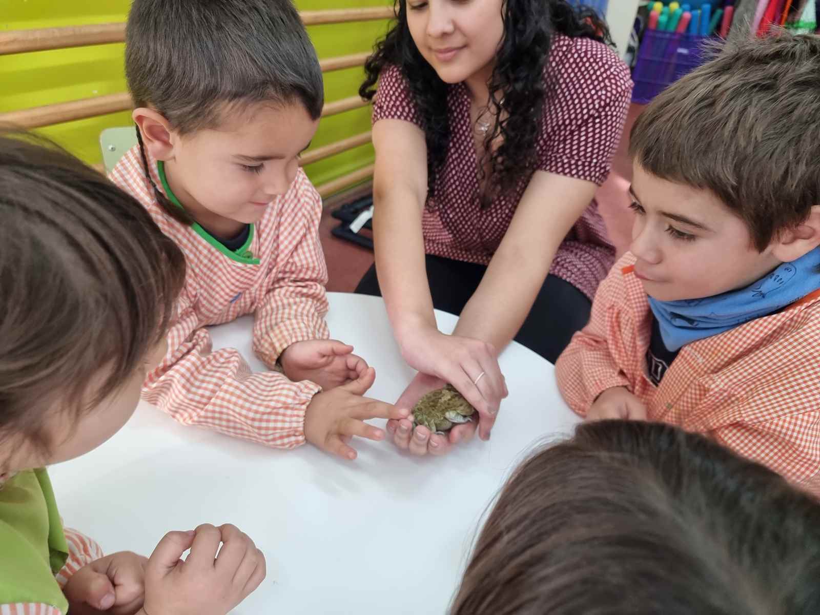 taller toca toca (46)