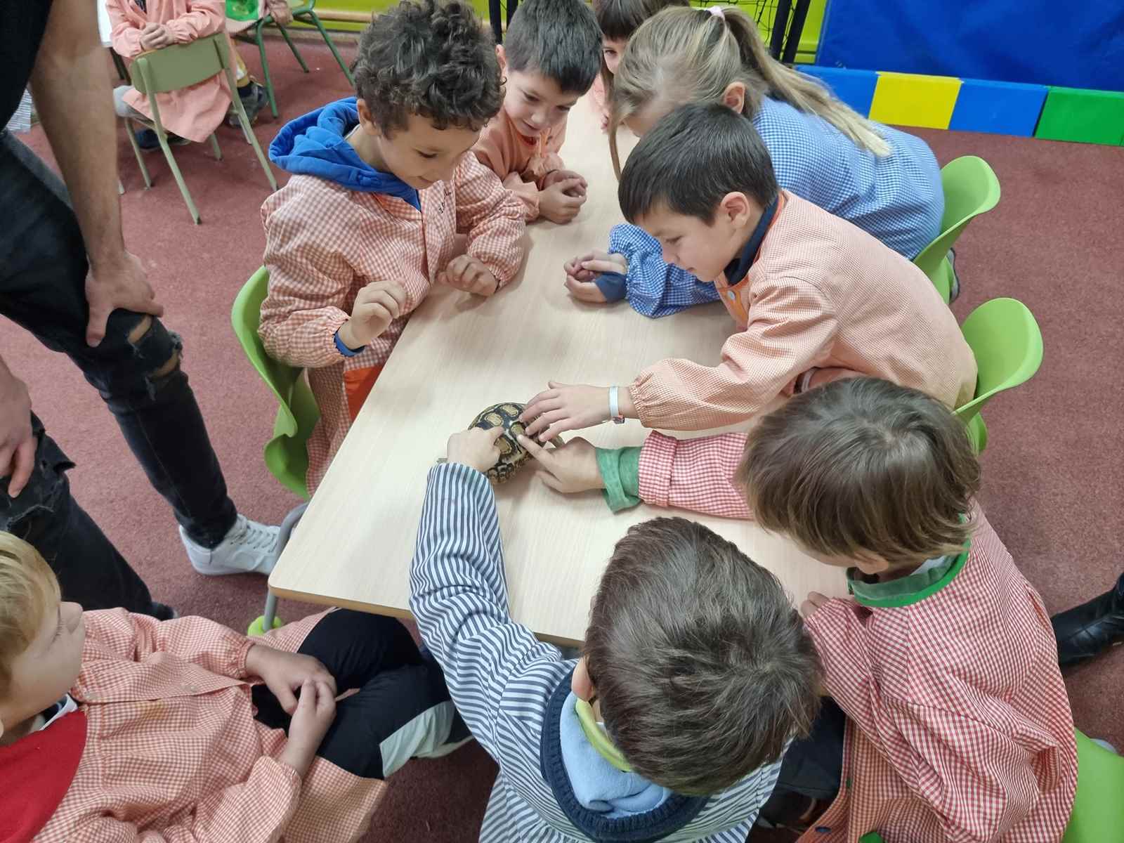 taller toca toca (47)