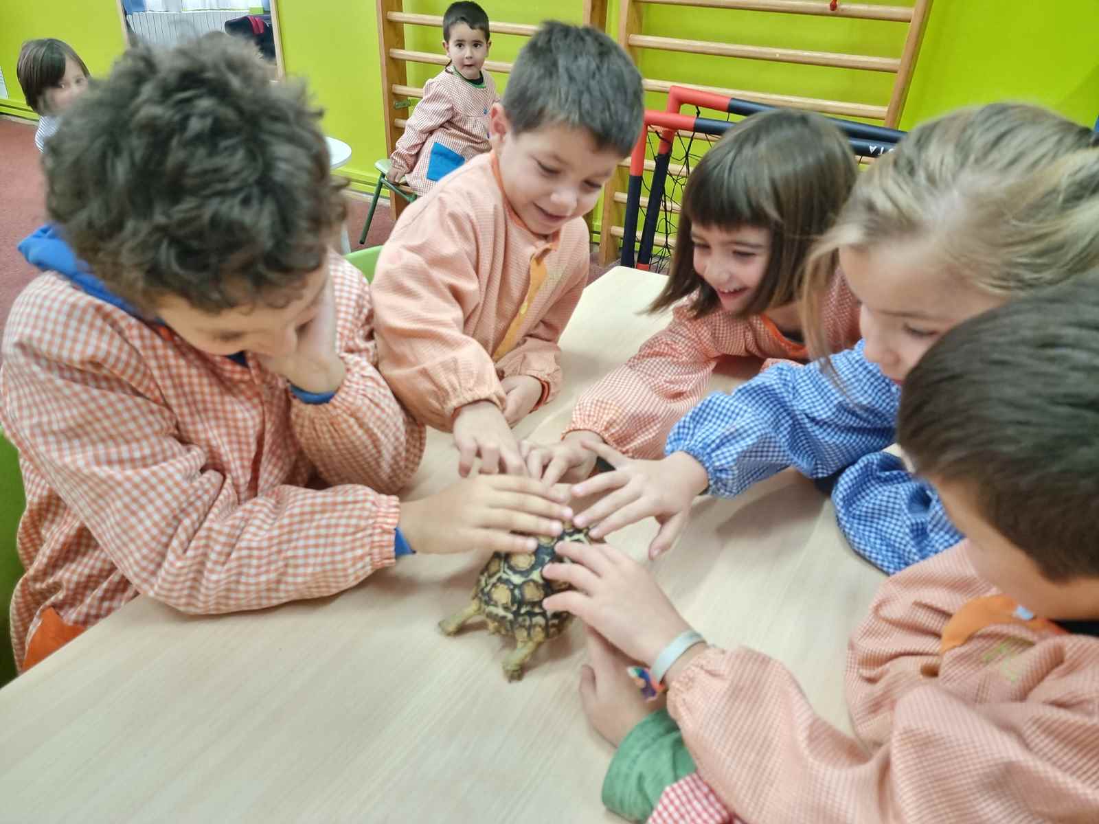 taller toca toca (48)