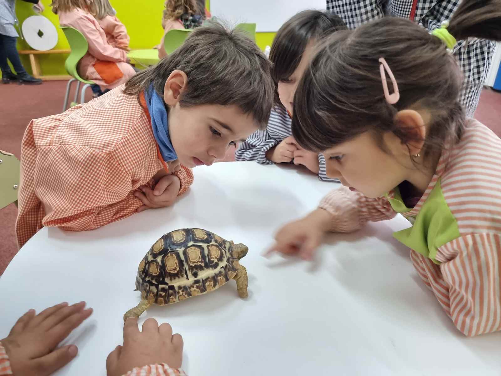 taller toca toca (49)