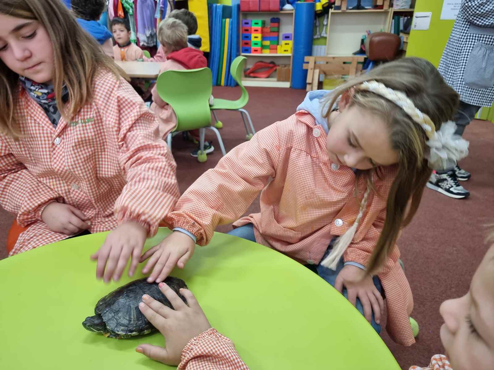 taller toca toca (50)