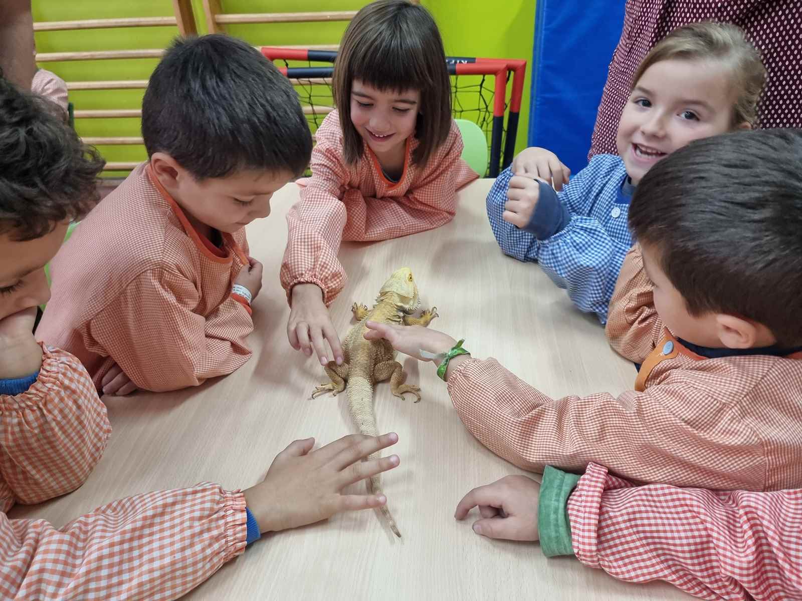 taller toca toca (51)