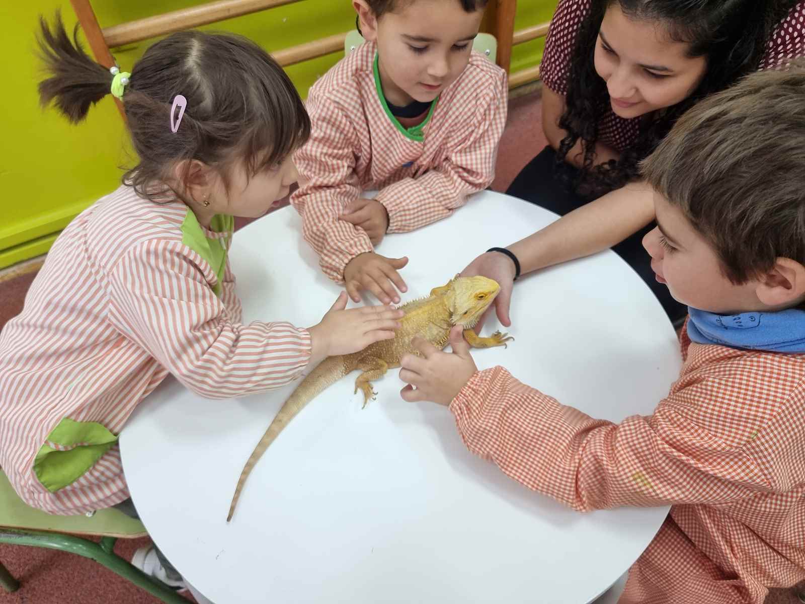 taller toca toca (52)