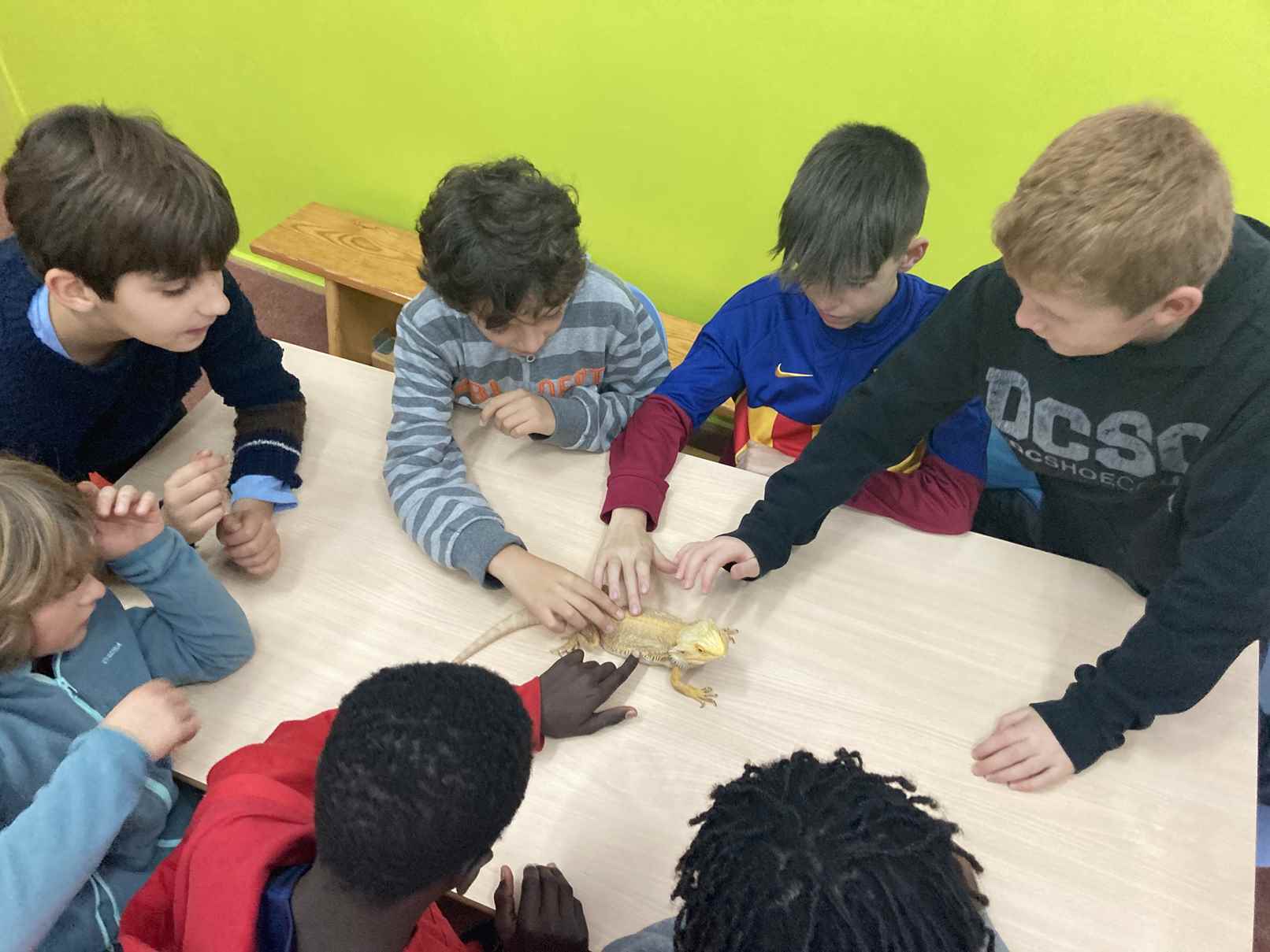 taller toca toca (6)