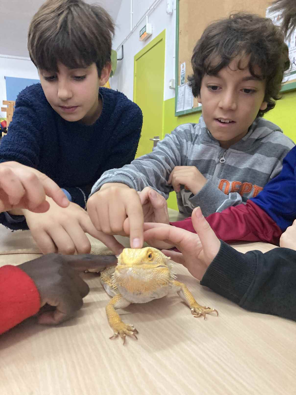 taller toca toca (7)