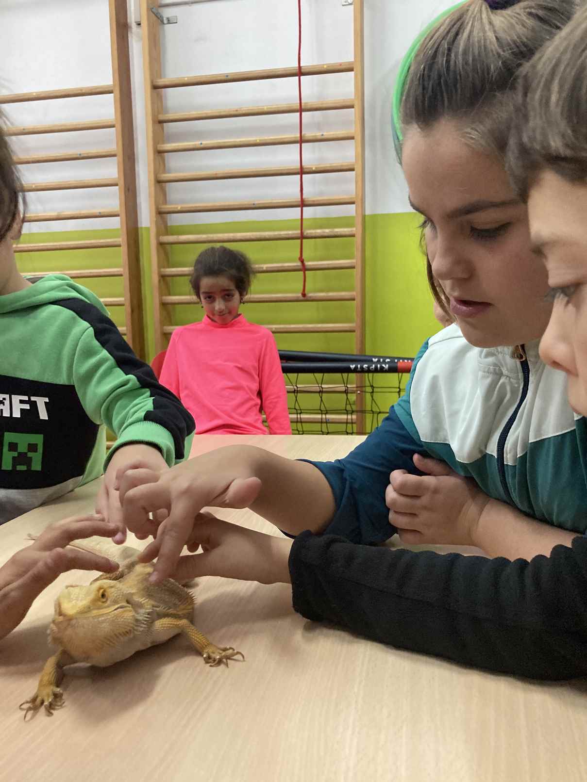 taller toca toca (9)