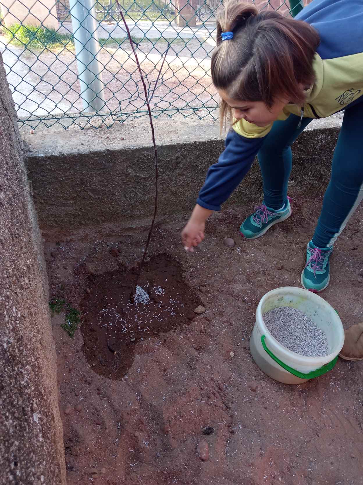 ARRANJAMETNS PATI (1)