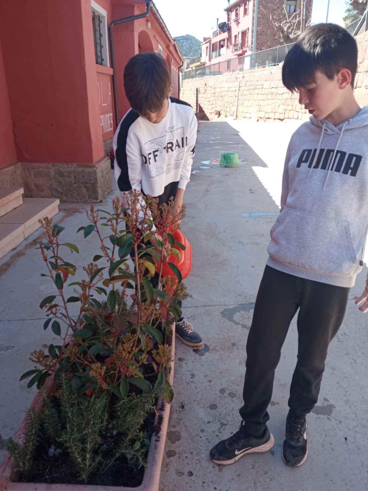 ARRANJAMETNS PATI (10)