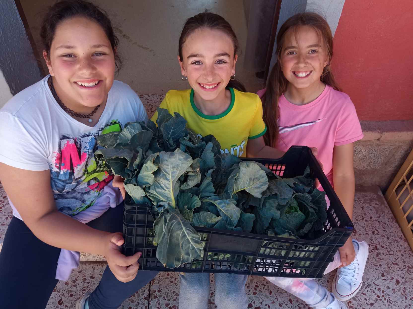 ARRANJAMETNS PATI (11)