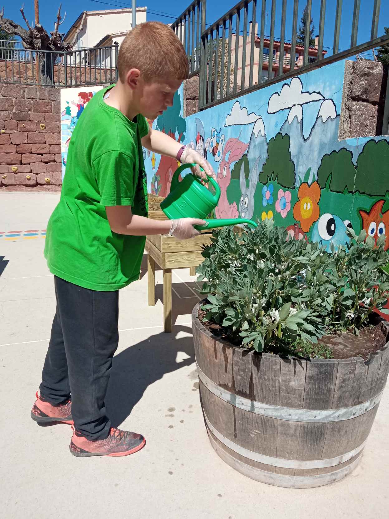 ARRANJAMETNS PATI (13)