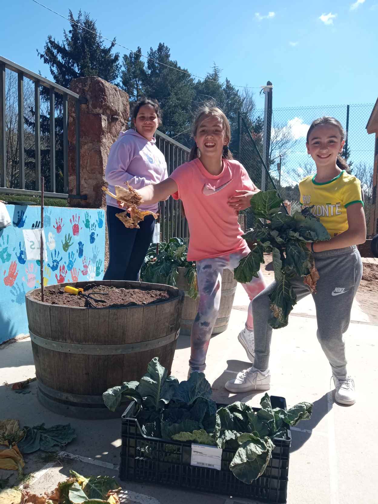 ARRANJAMETNS PATI (15)