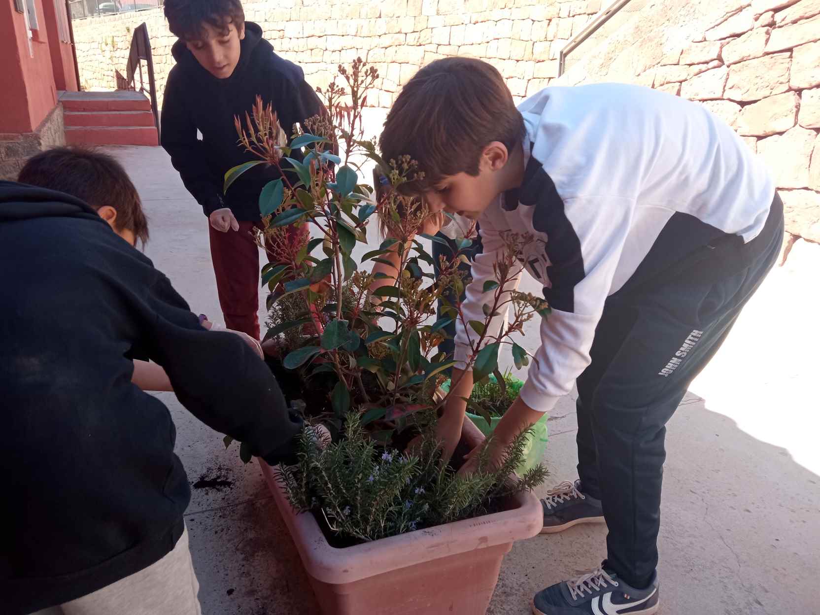 ARRANJAMETNS PATI (16)