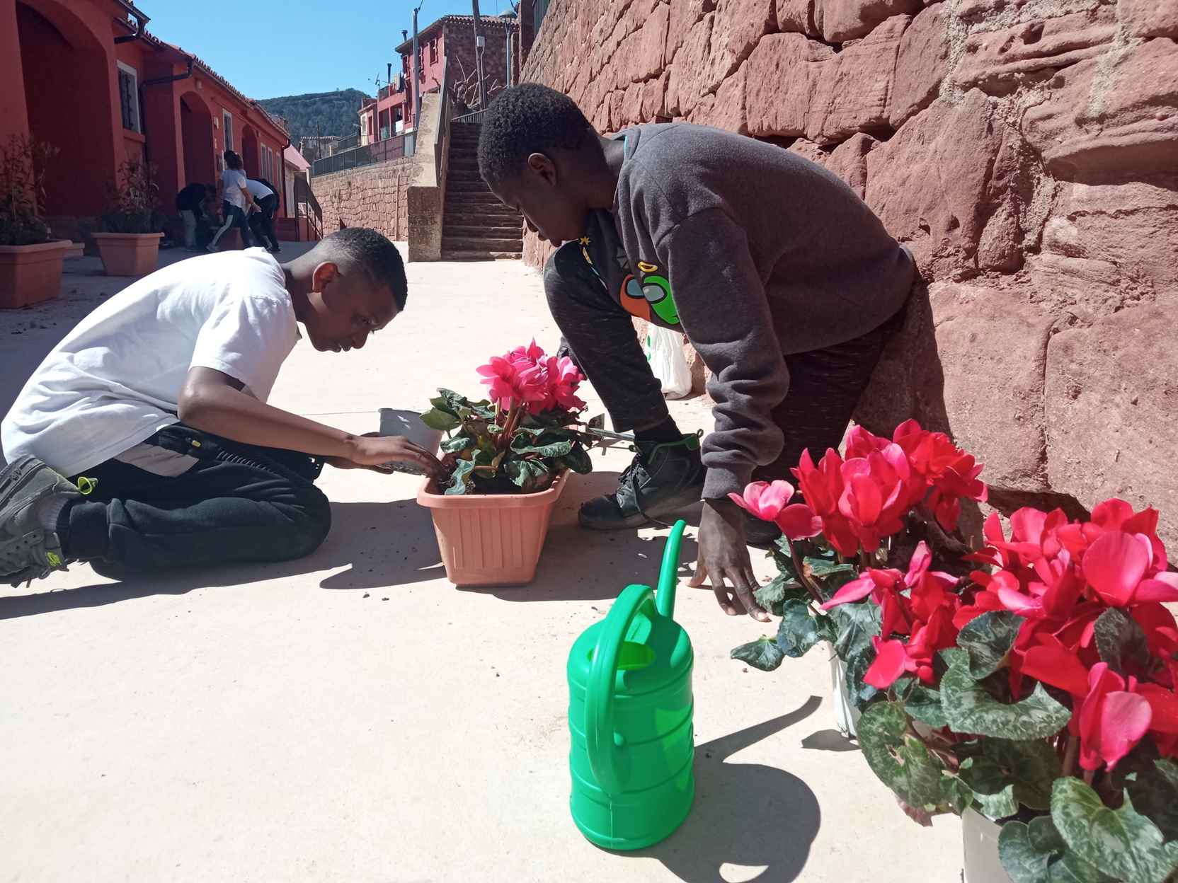 ARRANJAMETNS PATI (17)