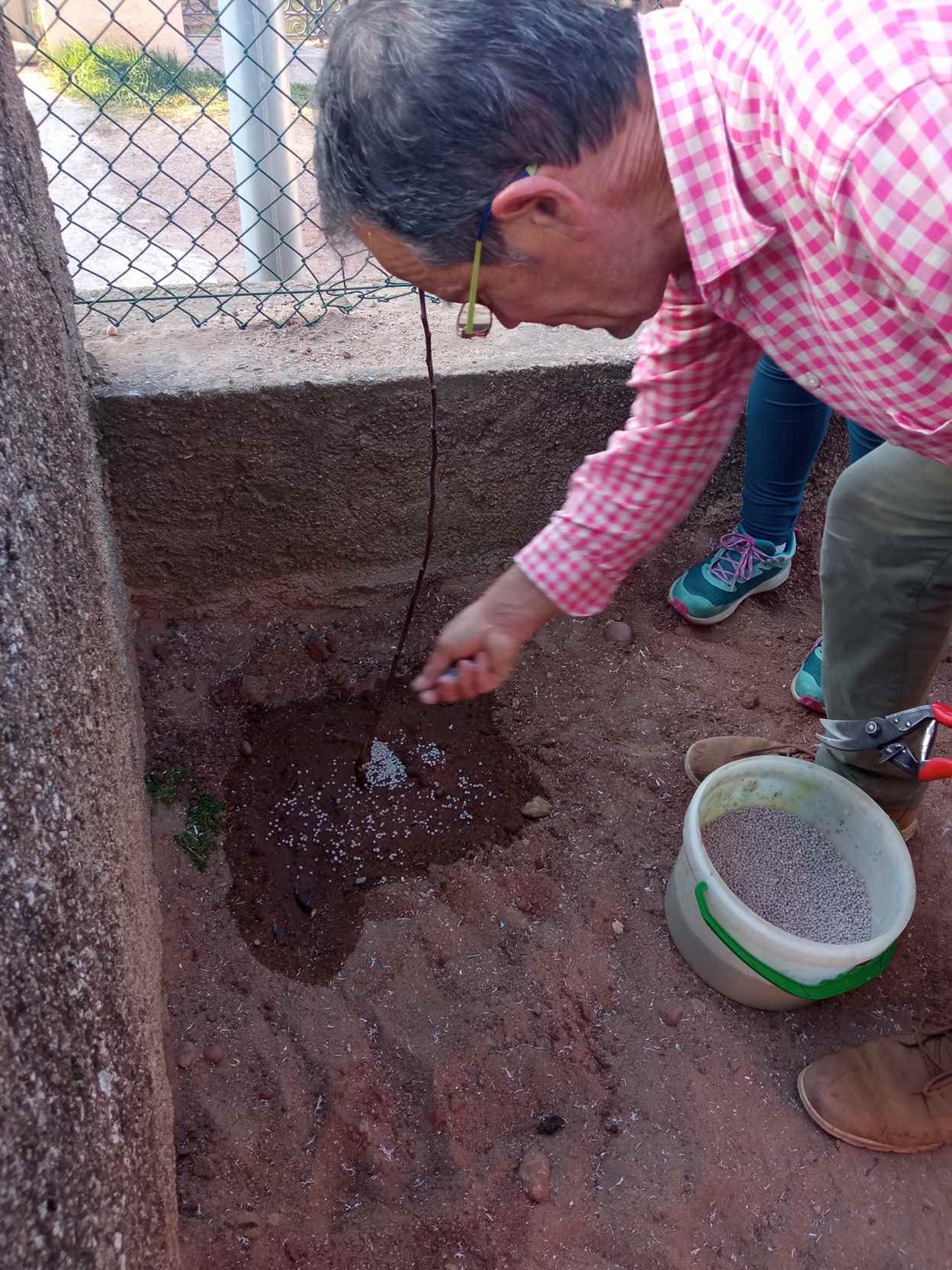 ARRANJAMETNS PATI (2)