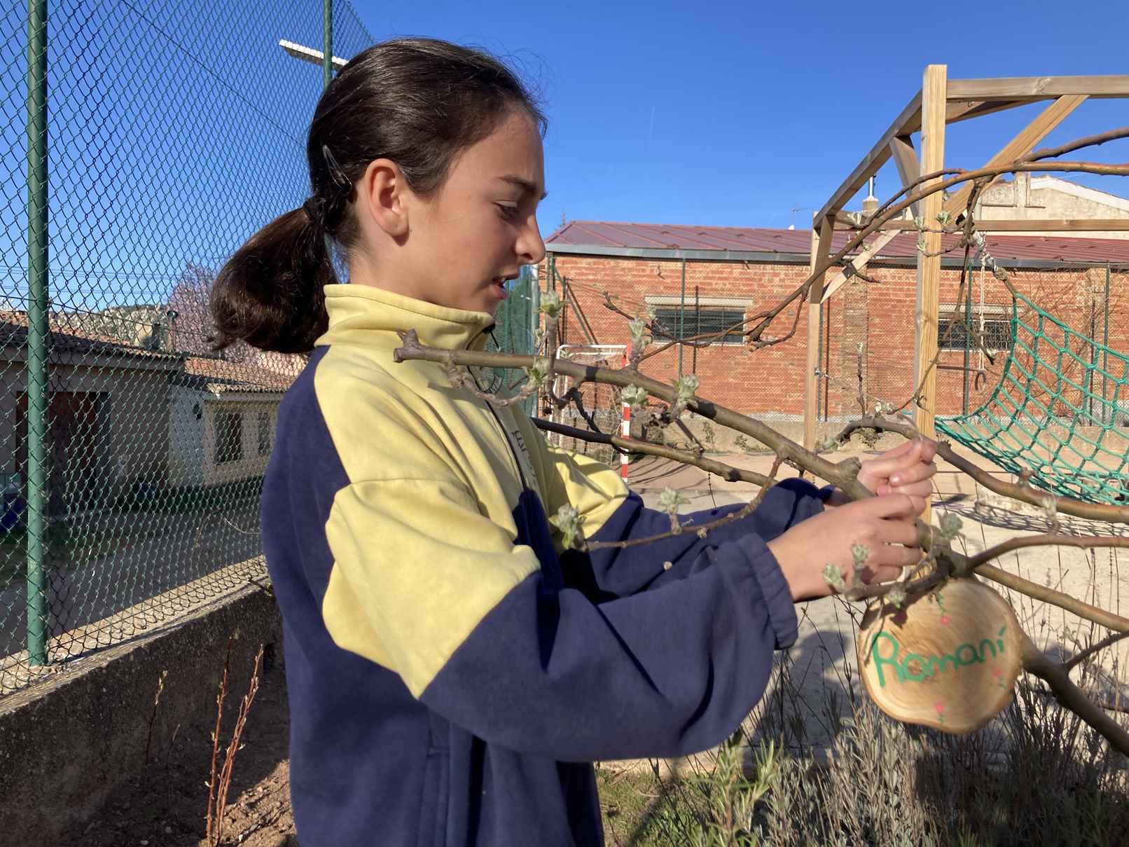 ARRANJAMETNS PATI (20)