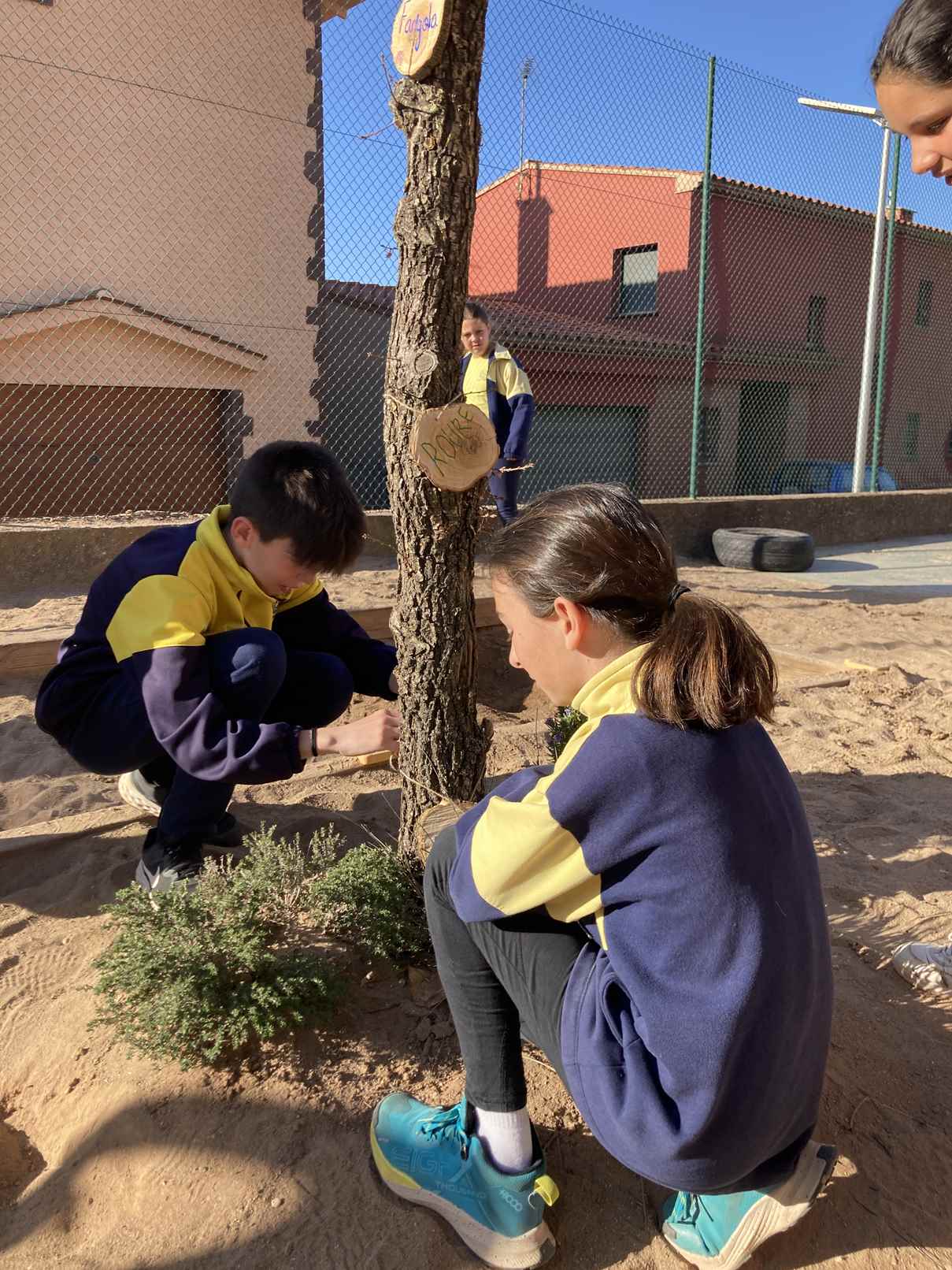 ARRANJAMETNS PATI (21)