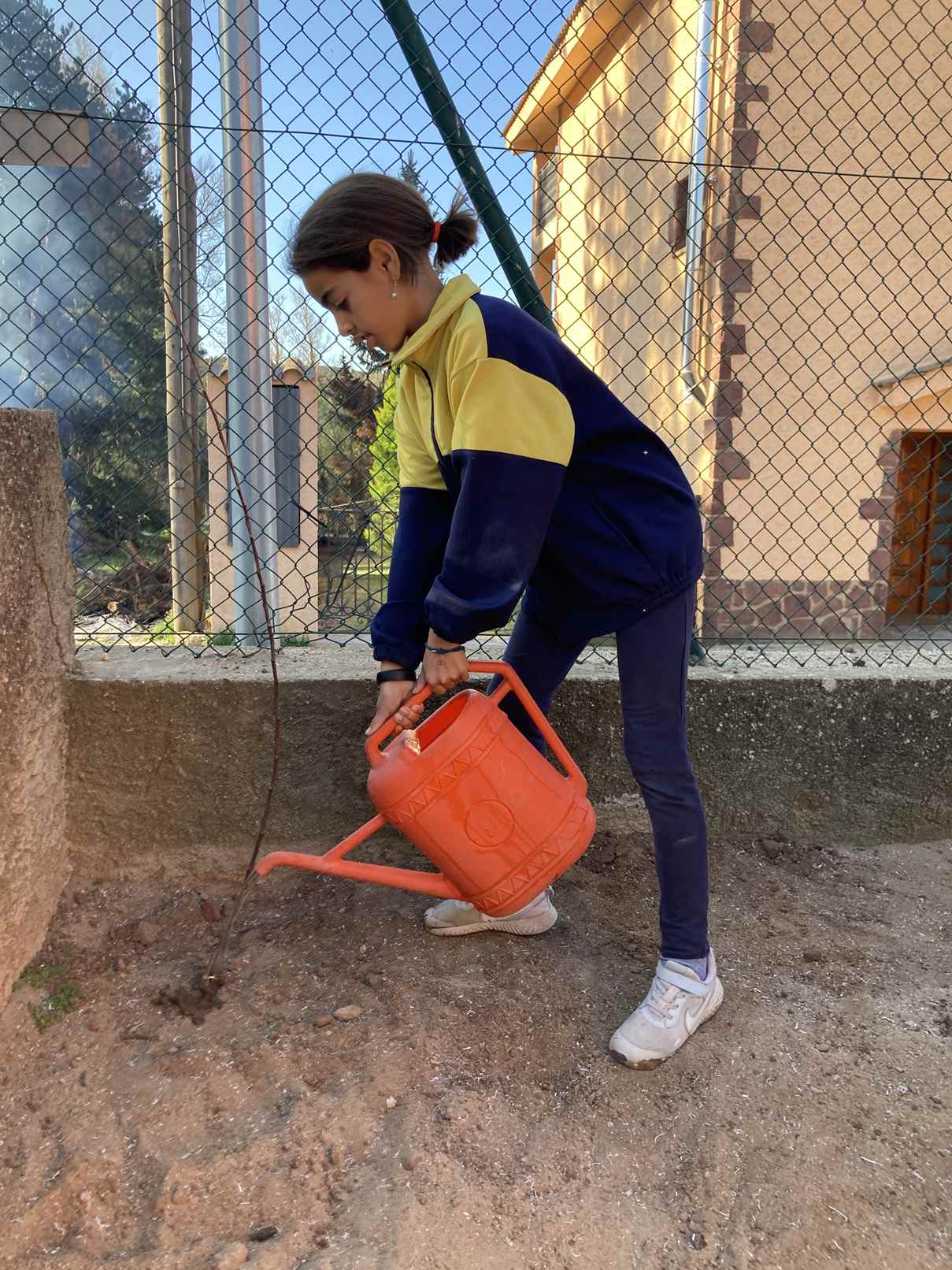 ARRANJAMETNS PATI (22)