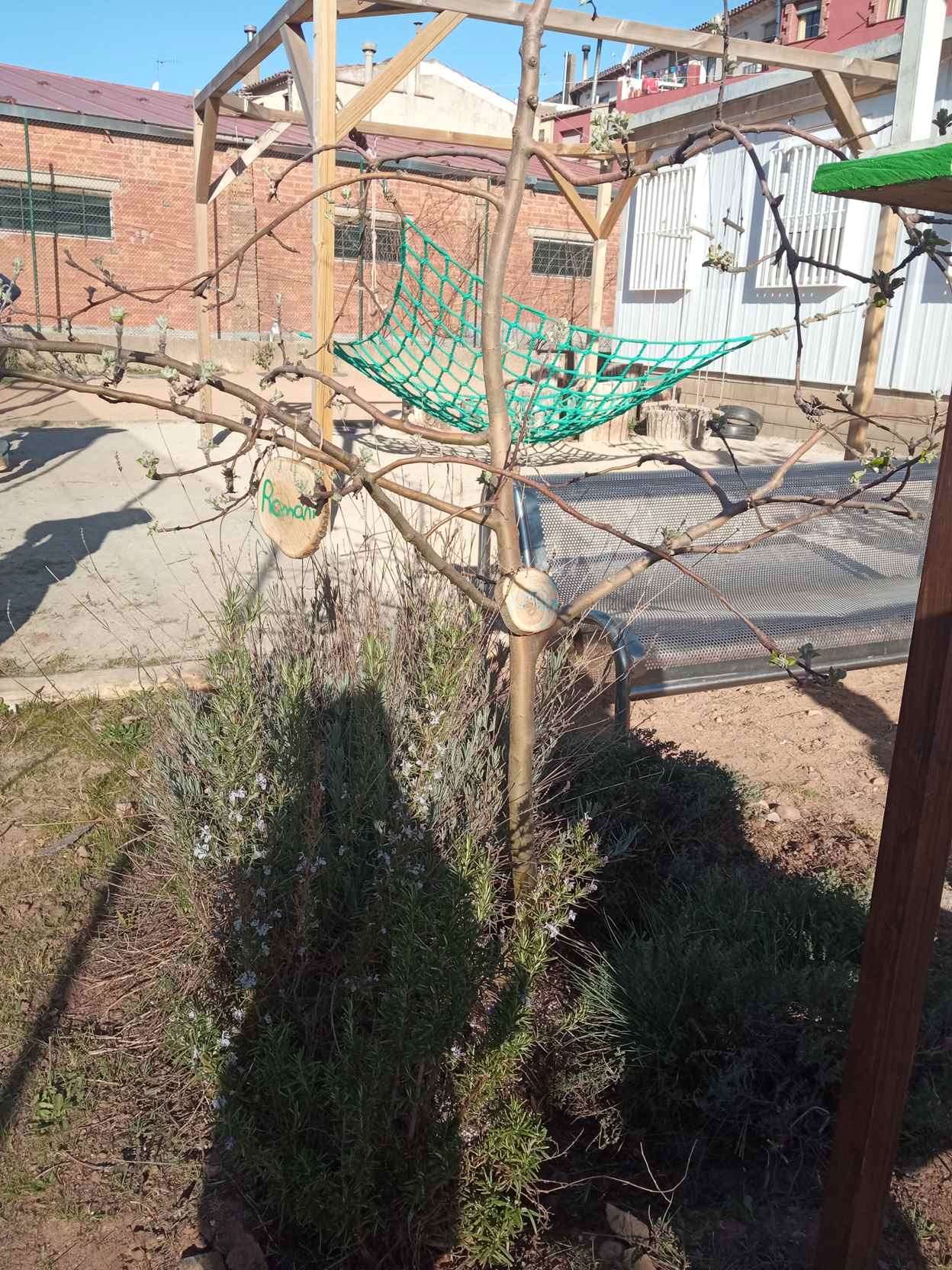 ARRANJAMETNS PATI (4)