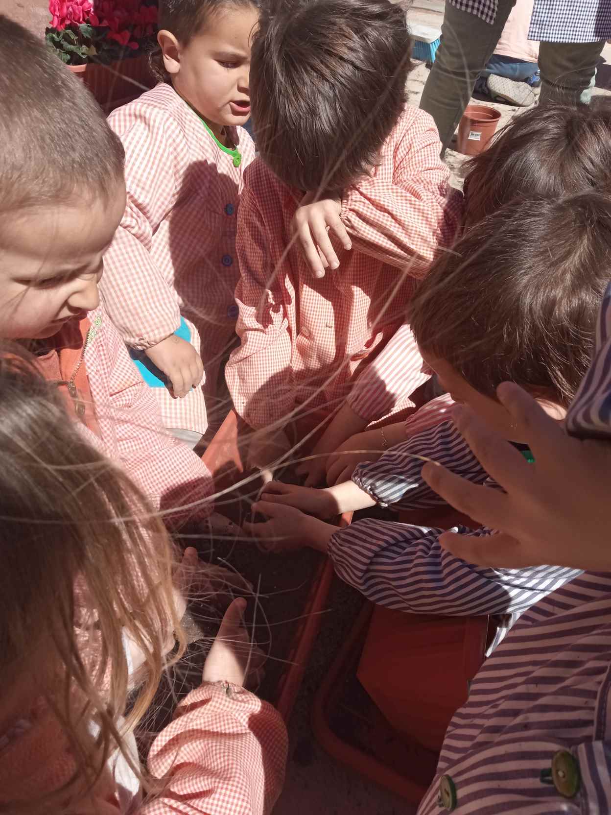 ARRANJAMETNS PATI (7)