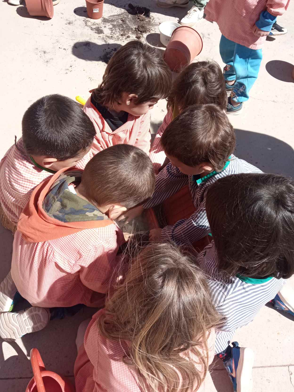 ARRANJAMETNS PATI (8)