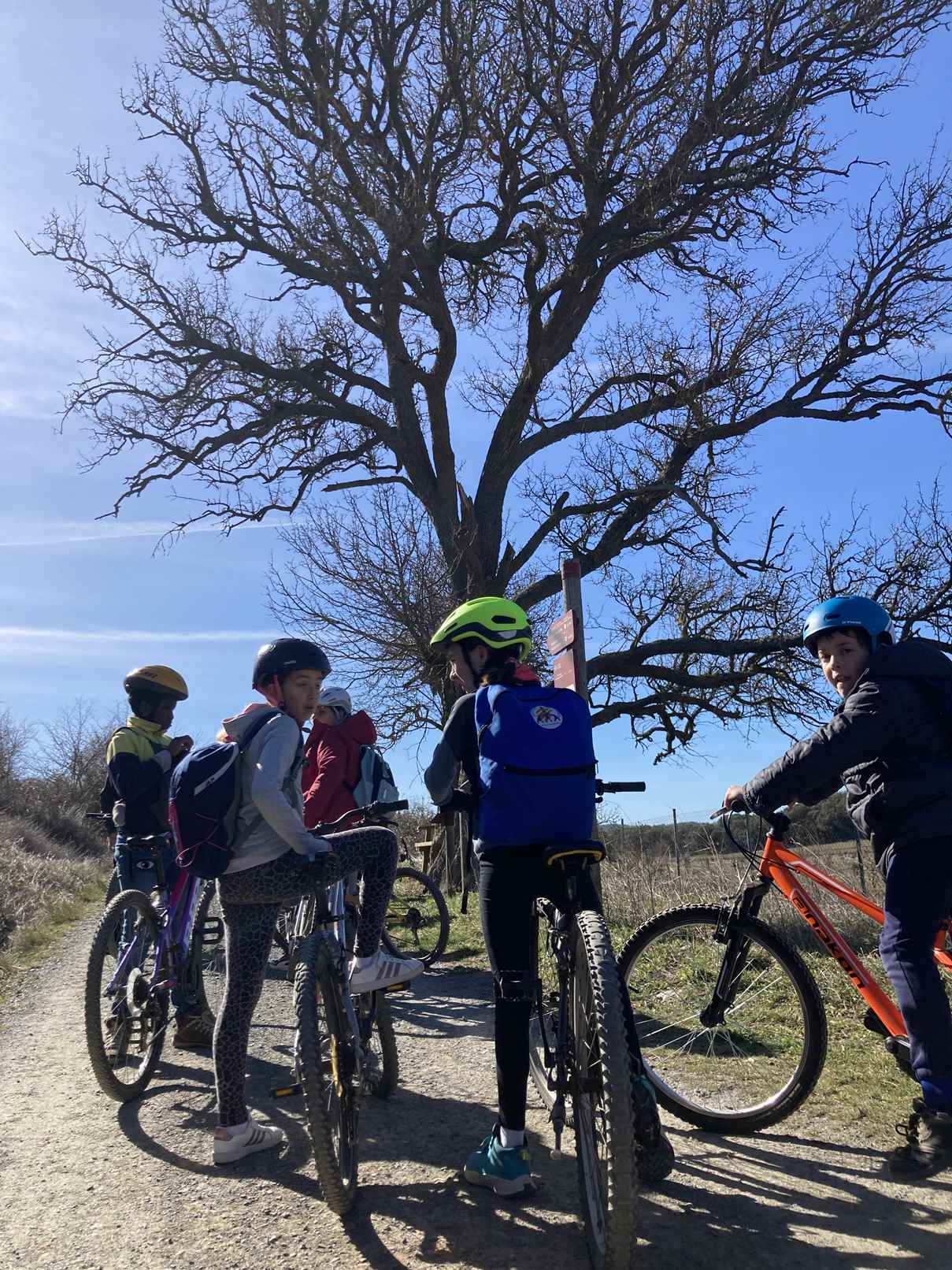 cruc bici 15 març (26)