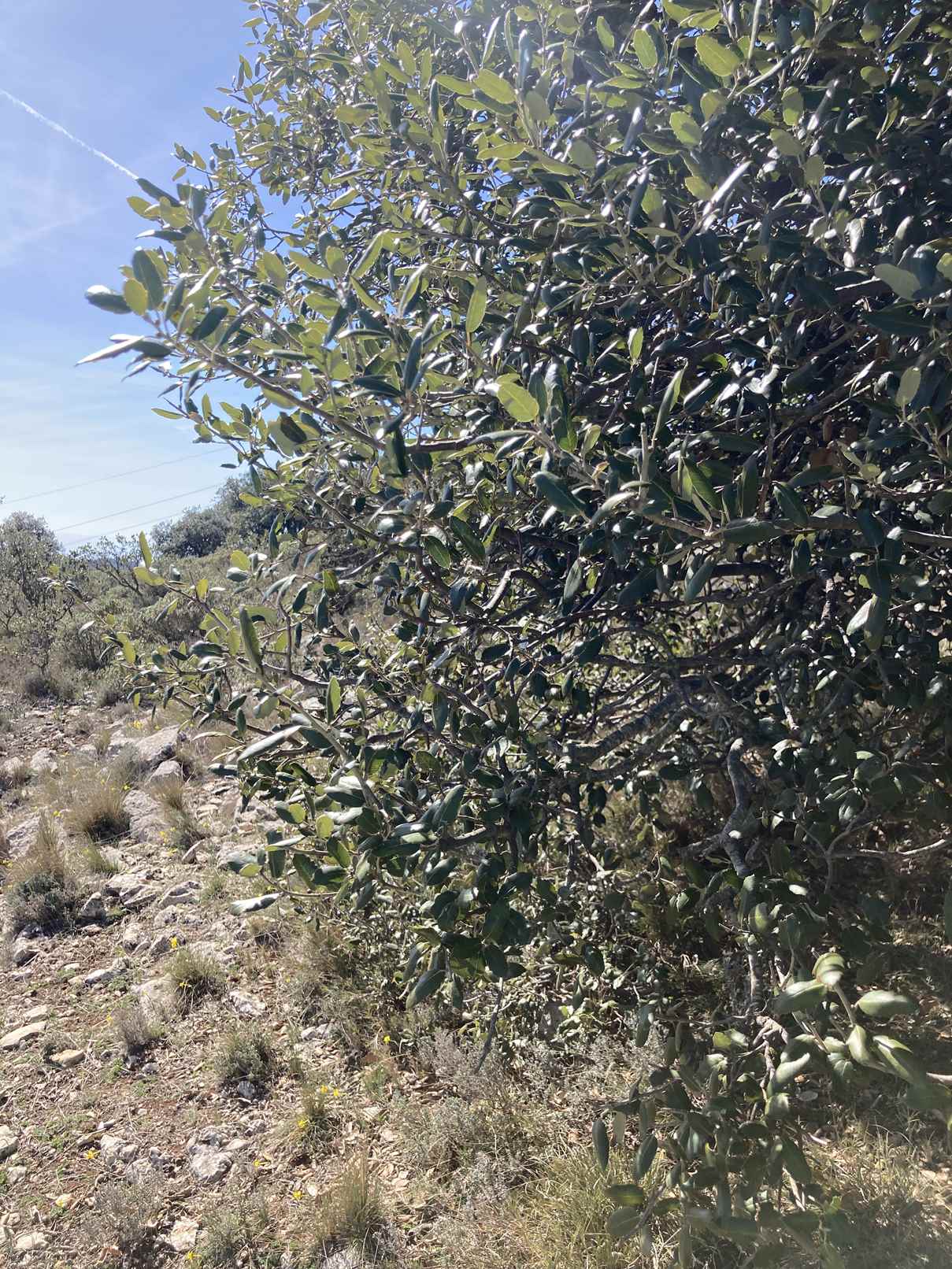 cruc bici 15 març (72)