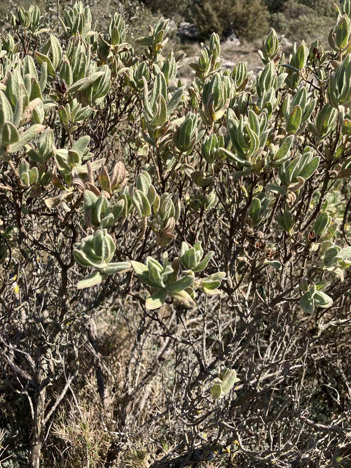 cruc bici 15 març (74)