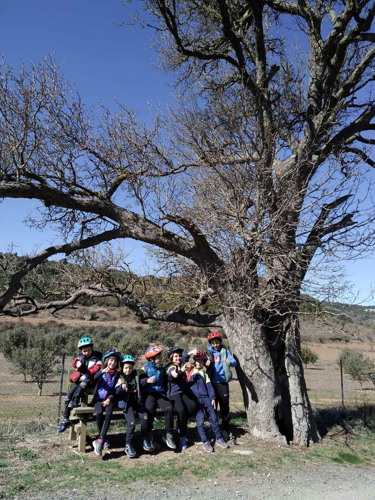 cruc bici 15 març (85)